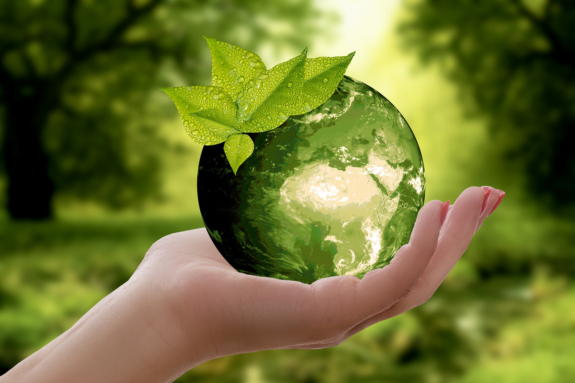 Día mundial medio ambiente